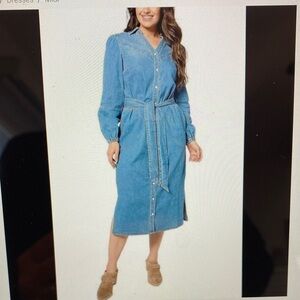 Canyon Retreat Blue Denim Jean Ling Dress Size 12